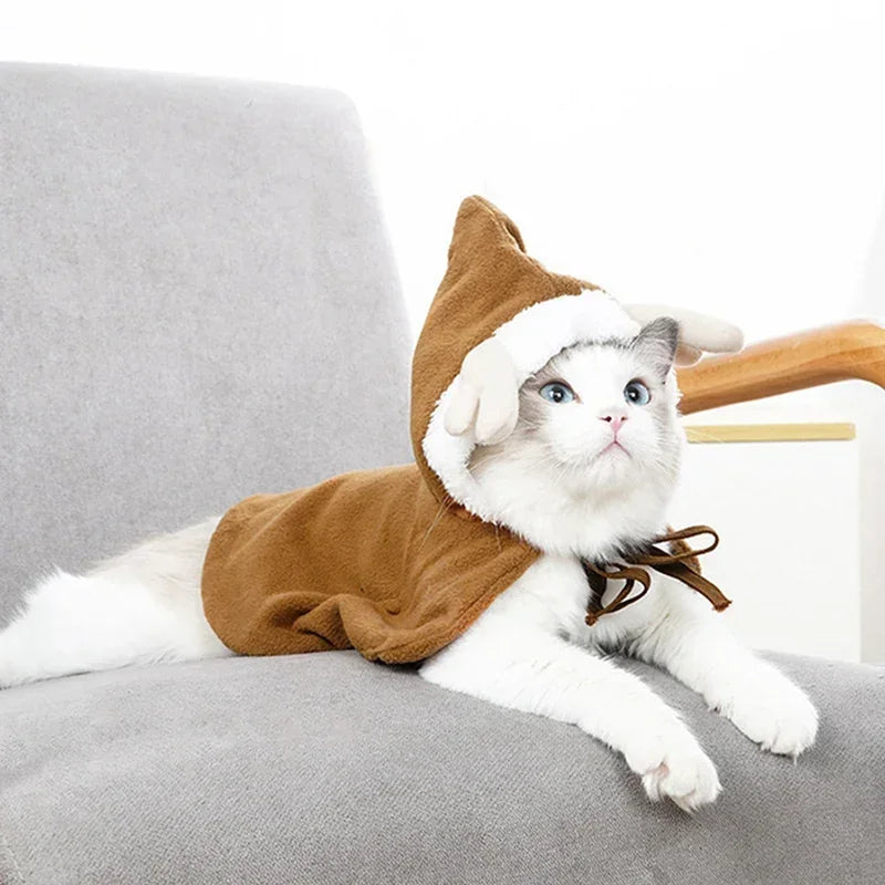 "Warm Christmas Costume for Pets ā Santa Cape & Hat for Cats, Kittens & Small Dogs"