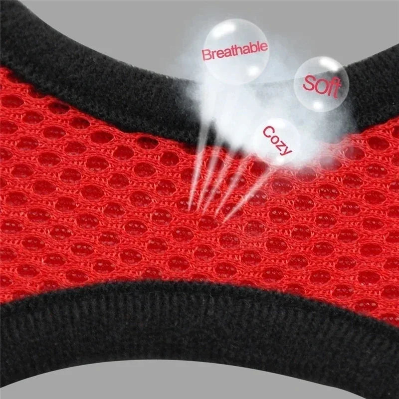 "Comfort Fit Cat Harness with Leash β Adjustable Vest for Safe Outdoor Walks"