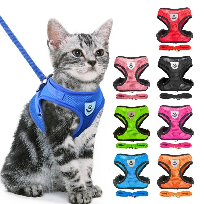 "Comfort Fit Cat Harness with Leash β Adjustable Vest for Safe Outdoor Walks"