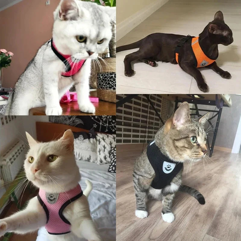 "Comfort Fit Cat Harness with Leash β Adjustable Vest for Safe Outdoor Walks"