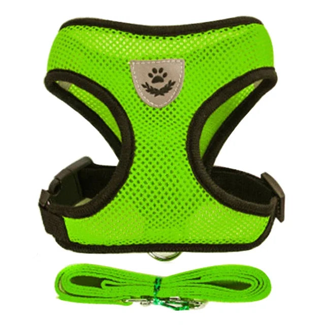"Comfort Fit Cat Harness with Leash β Adjustable Vest for Safe Outdoor Walks"