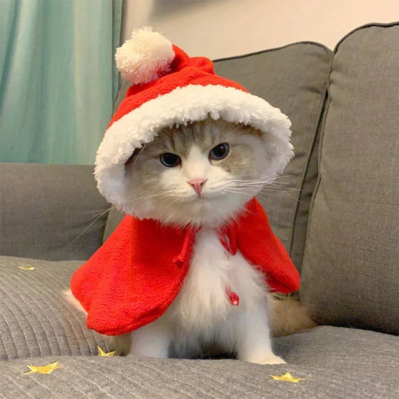 "Warm Christmas Costume for Pets ā Santa Cape & Hat for Cats, Kittens & Small Dogs"