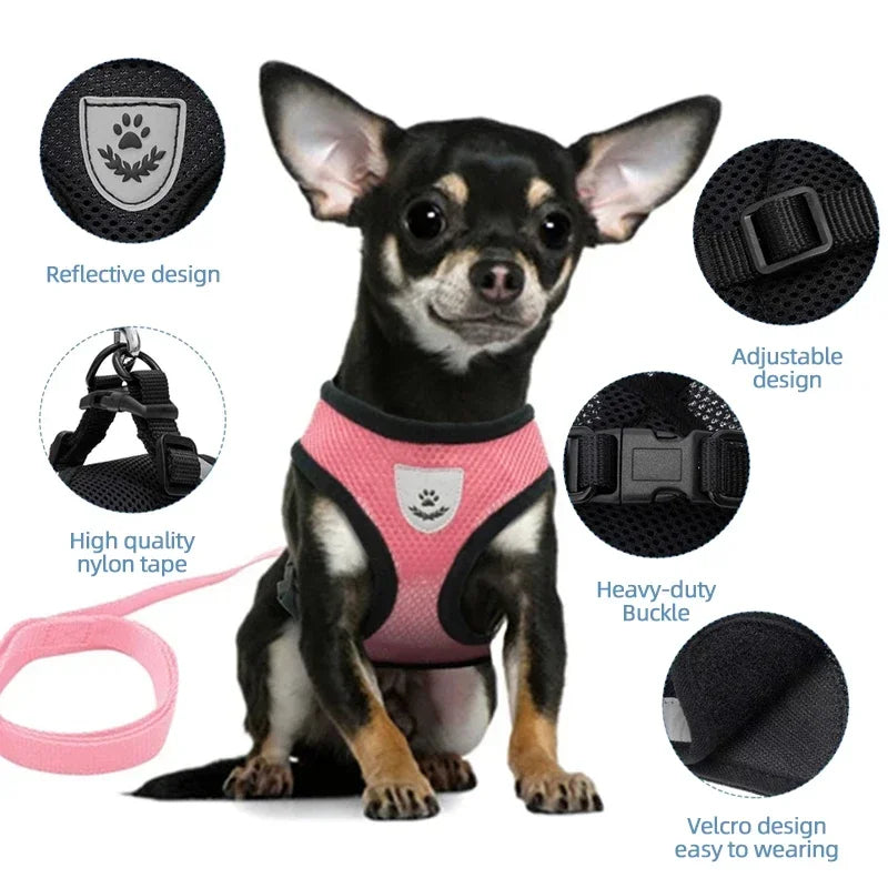 "Comfort Fit Cat Harness with Leash – Adjustable Vest for Safe Outdoor Walks"