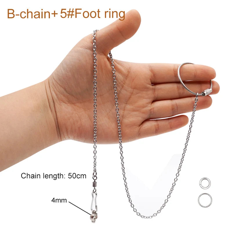 Stainless Steel Chain Parrot Leg Ring-Training Accessories