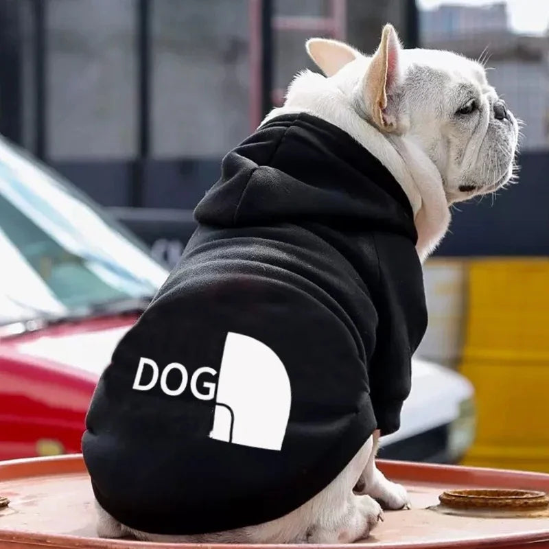 "Cozy Autumn Hoodie for Dogs – Puppy Sweater & Pet Costume Apparel"