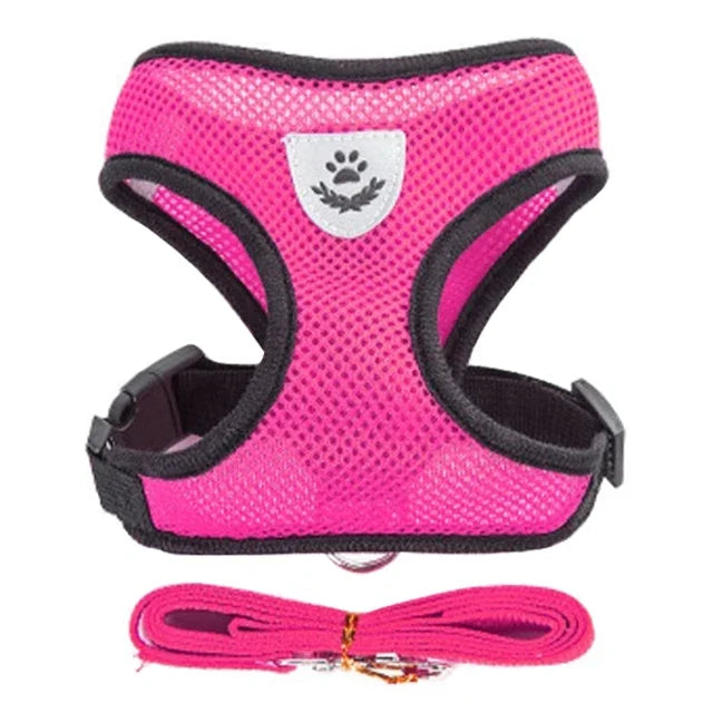 "Comfort Fit Cat Harness with Leash – Adjustable Vest for Safe Outdoor Walks"