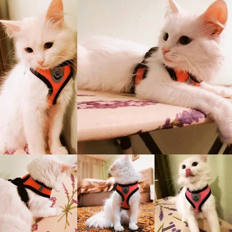 "Comfort Fit Cat Harness with Leash – Adjustable Vest for Safe Outdoor Walks"