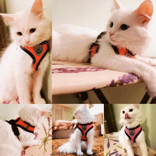 "Comfort Fit Cat Harness with Leash – Adjustable Vest for Safe Outdoor Walks"