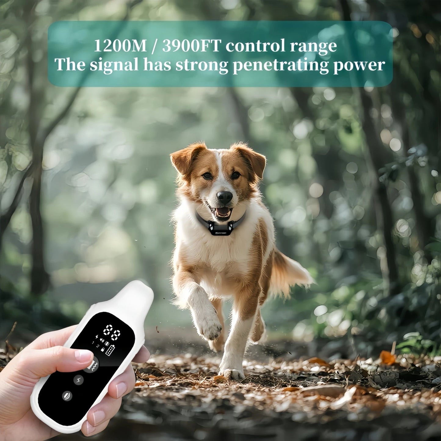Digital Dog Training Collar Rechargeable