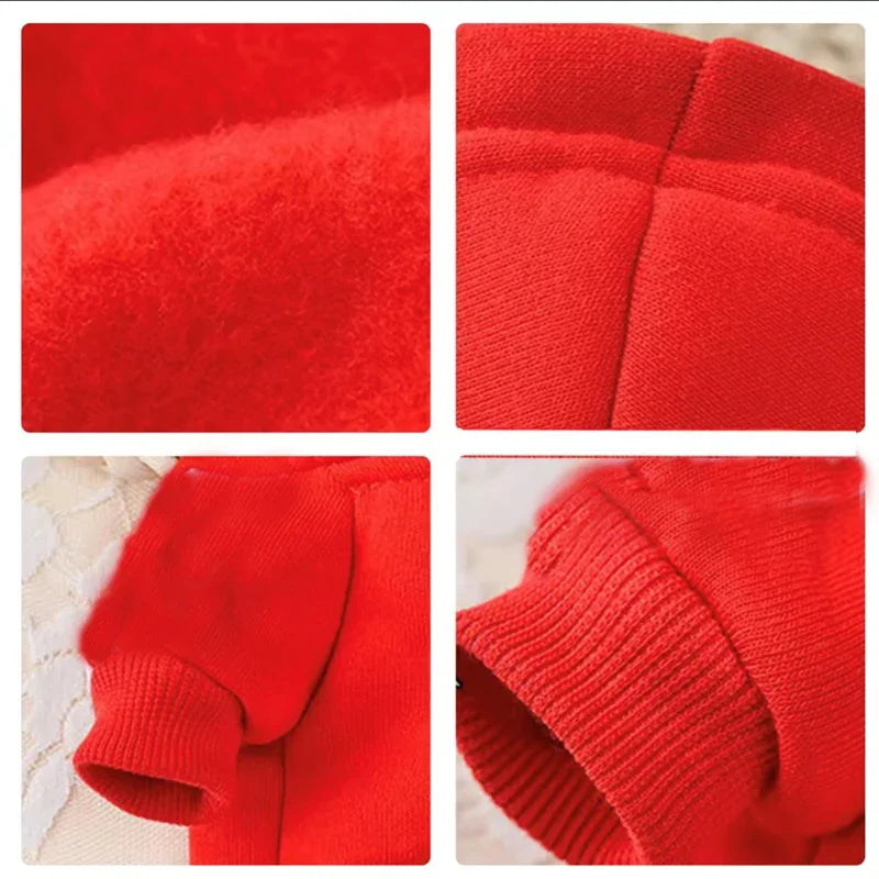 "Cozy Autumn Hoodie for Dogs – Puppy Sweater & Pet Costume Apparel"