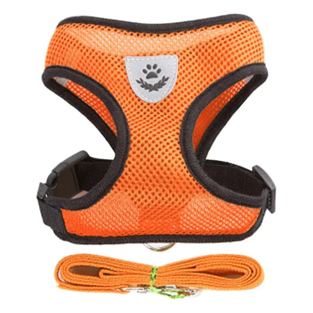 "Comfort Fit Cat Harness with Leash – Adjustable Vest for Safe Outdoor Walks"