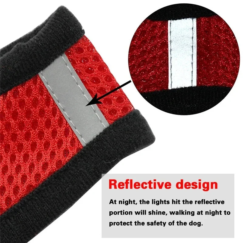 "Comfort Fit Cat Harness with Leash – Adjustable Vest for Safe Outdoor Walks"