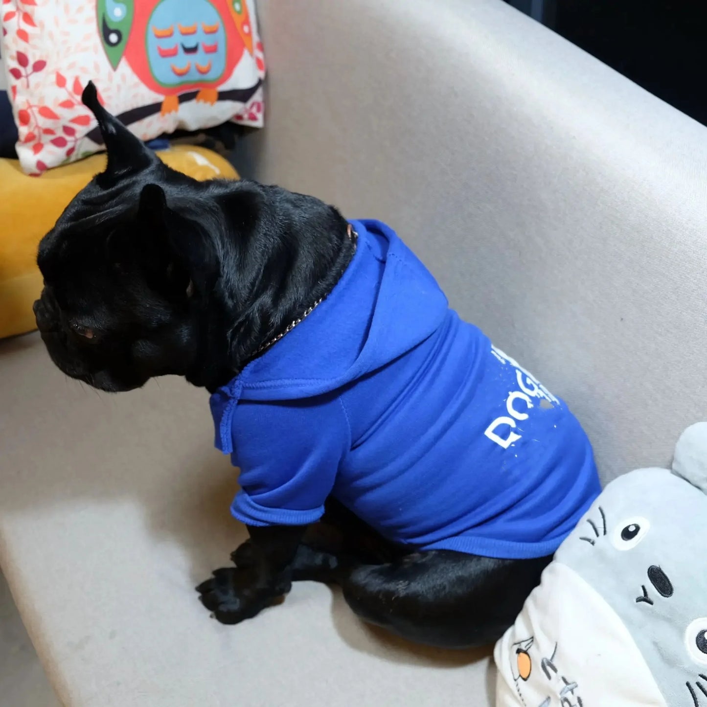 "Cozy Autumn Hoodie for Dogs – Puppy Sweater & Pet Costume Apparel"