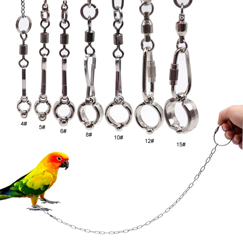 Stainless Steel Chain Parrot Leg Ring-Training Accessories
