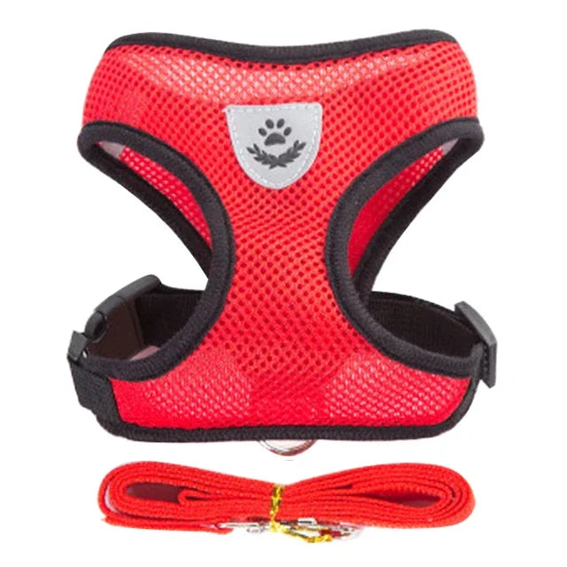 "Comfort Fit Cat Harness with Leash – Adjustable Vest for Safe Outdoor Walks"