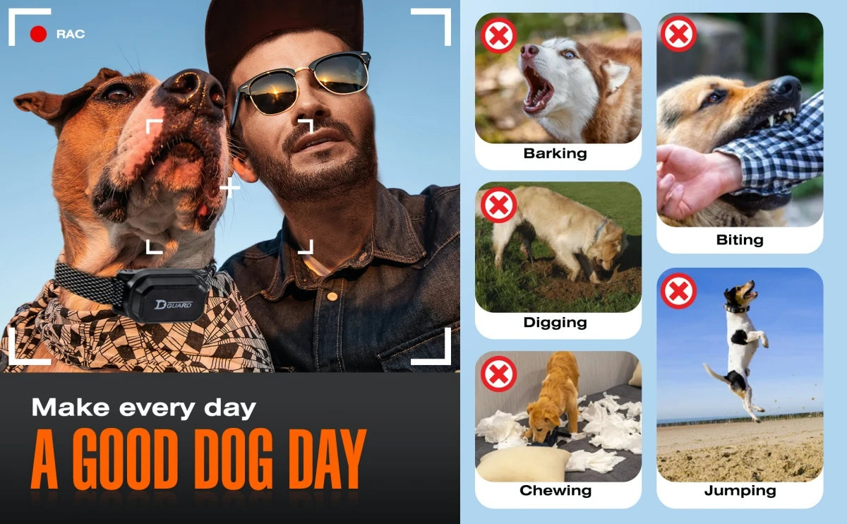 Digital Dog Training Collar Rechargeable