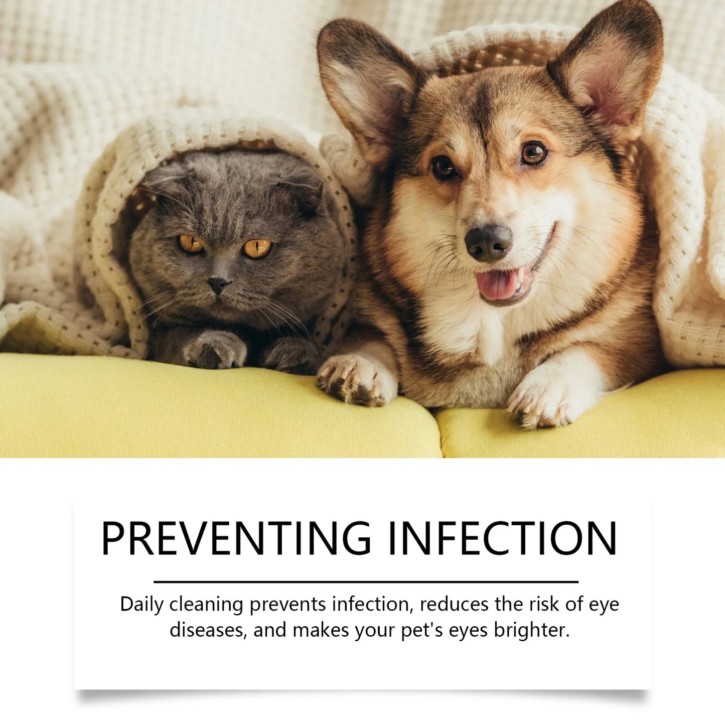 "Universal Pet Eye Drops for Dogs & Cats – Gently Removes Tear Stains, Secretions & Eye Irritations"