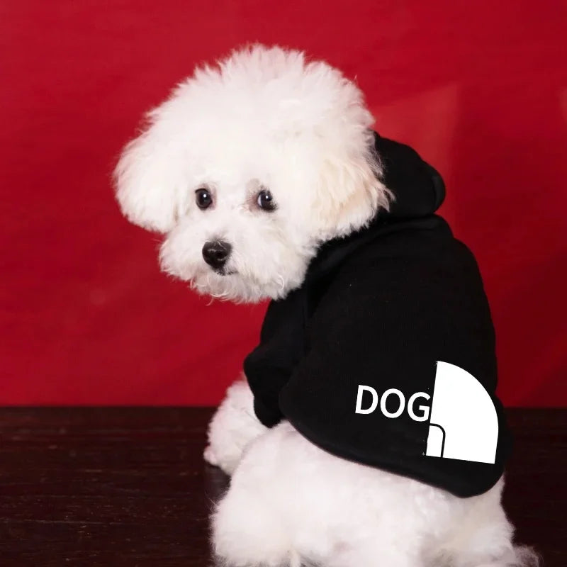 "Cozy Autumn Hoodie for Dogs – Puppy Sweater & Pet Costume Apparel"