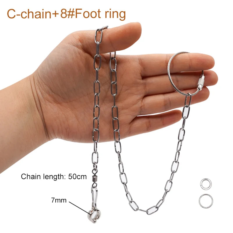 Stainless Steel Chain Parrot Leg Ring-Training Accessories