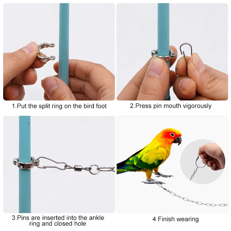 Stainless Steel Chain Parrot Leg Ring-Training Accessories