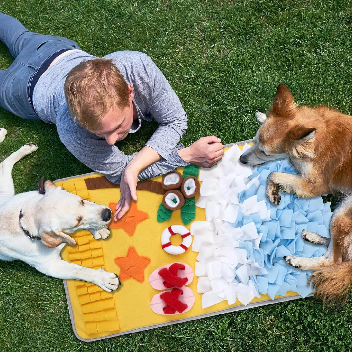 Dog Snuffle Mat for Training & Slow Feeding