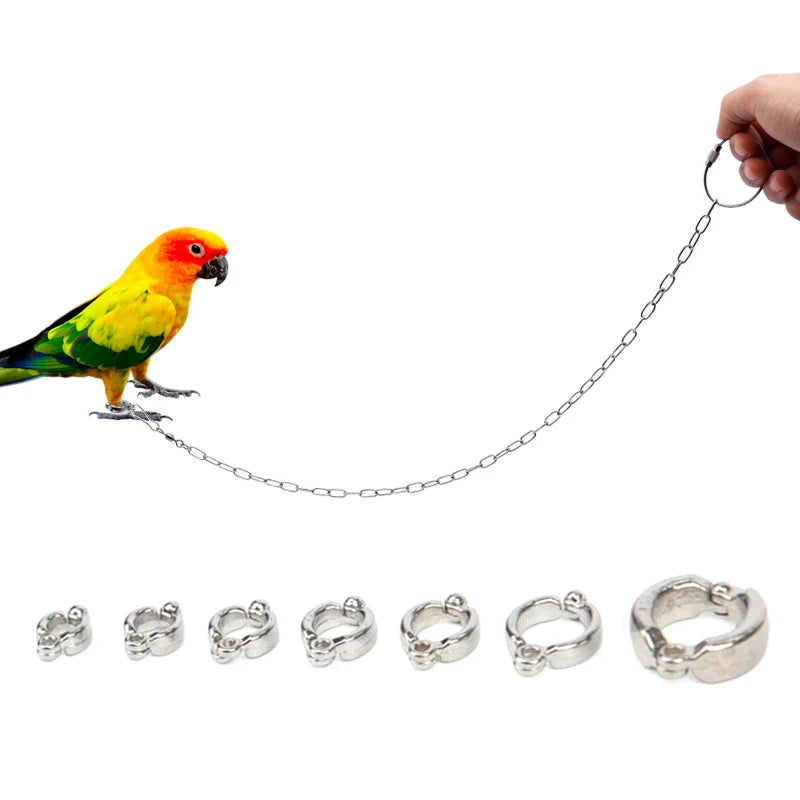 Stainless Steel Chain Parrot Leg Ring-Training Accessories