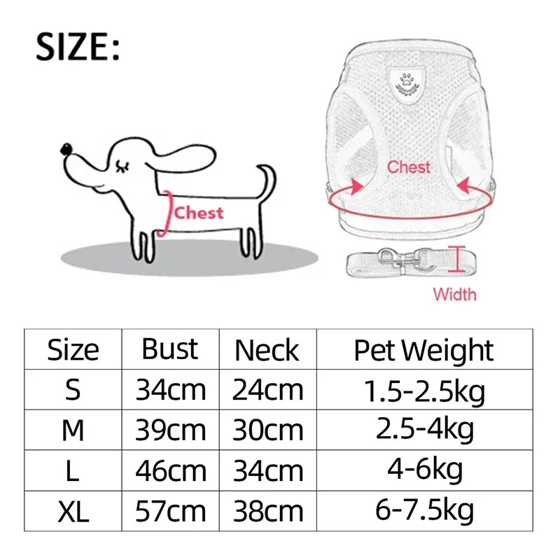 "Comfort Fit Cat Harness with Leash – Adjustable Vest for Safe Outdoor Walks"
