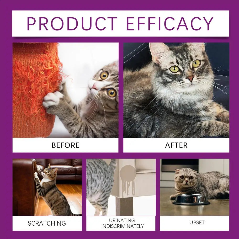 Cat Calming Spray Soothing Emotions, Reduce Pet Anxiety
